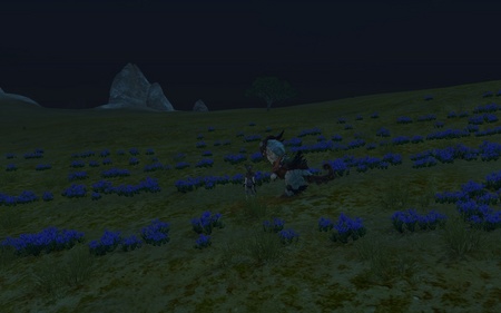 ScreenShot0017.jpg